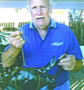 Reg enticed this lump of a Graham Creek mud crab into his pot with a fish frame.